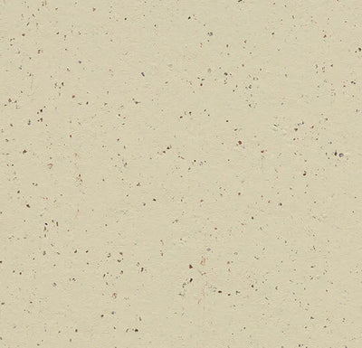 Forbo Marmoleum Solid Cocoa Sheet Samples - 184763