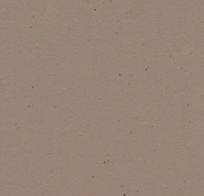 Forbo Marmoleum Solid Cocoa Sheet Samples - 184757