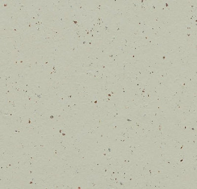 Forbo Marmoleum Solid Cocoa Sheet Samples - 246237