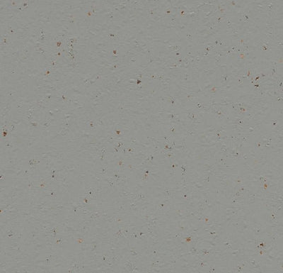 Forbo Marmoleum Solid Cocoa Sheet Samples - 246250