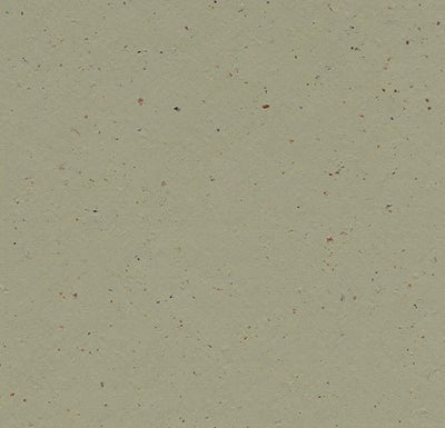 Forbo Marmoleum Solid Cocoa Sheet Samples - 246248