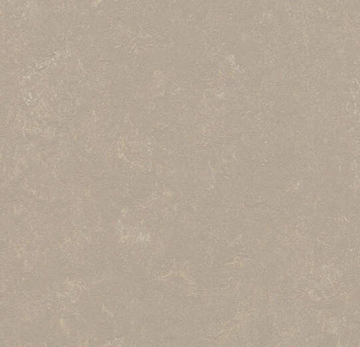 Forbo Marmoleum Solid Concrete Sheet Sample - 138422
