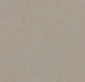 Forbo Marmoleum Solid Concrete Sheet Sample