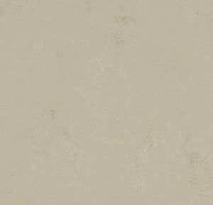 Forbo Marmoleum Solid Concrete Sheet Sample - 248241