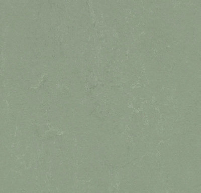 Forbo Marmoleum Solid Concrete Sheet Sample - 248233