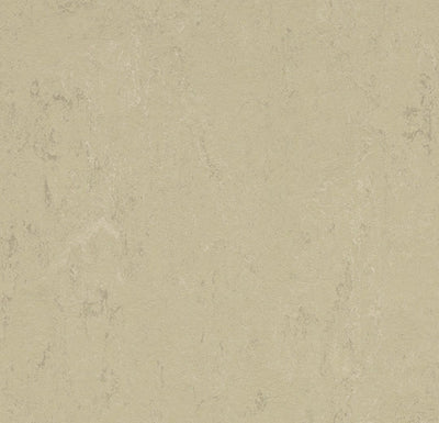 Forbo Marmoleum Solid Concrete Sheet Sample - 248244