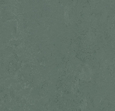 Forbo Marmoleum Solid Concrete Sheet Sample - 248235