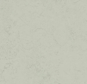 Forbo Marmoleum Solid Concrete Sheet Sample - 184728