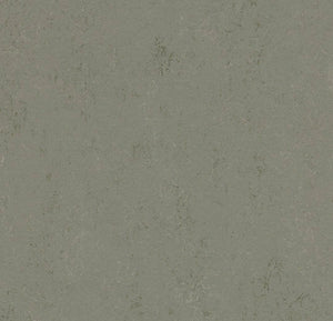 Forbo Marmoleum Solid Concrete Sheet Sample - 248238