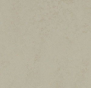 Forbo Marmoleum Solid Concrete Sheet Sample - 248243