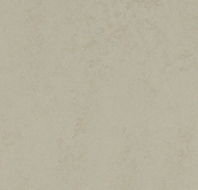 Forbo Marmoleum Solid Concrete Sheet Sample - 248243