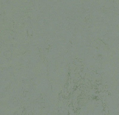 Forbo Marmoleum Solid Concrete Sheet Sample - 248234