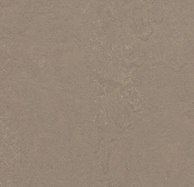 Forbo Marmoleum Solid Concrete Sheet Sample - 138424