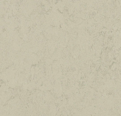 Forbo Marmoleum Solid Concrete Sheet Sample - 248240