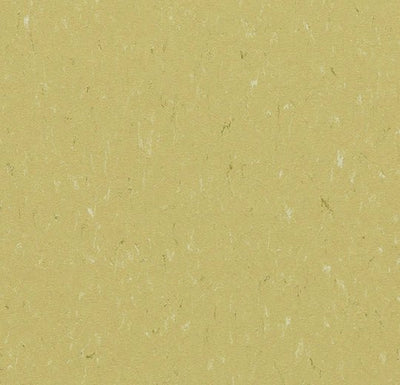 Forbo Marmoleum Solid Piano Sheet Sample - 138181