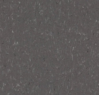 Forbo Marmoleum Solid Piano Sheet Sample - 48804