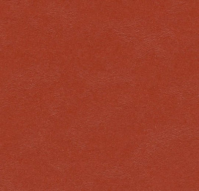 Forbo Marmoleum Solid Walton Sheet Samples - 81259