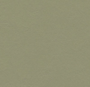 Forbo Marmoleum Solid Walton Sheet Samples