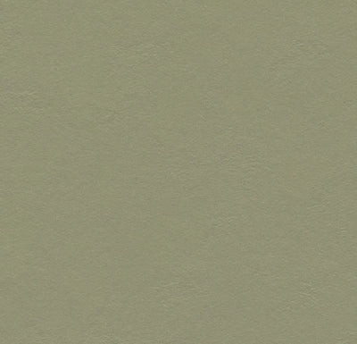 Forbo Marmoleum Solid Walton Sheet Samples - 81272
