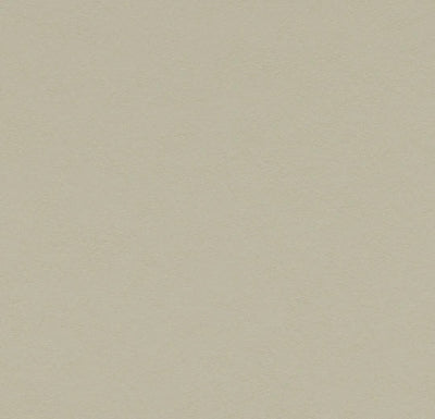 Forbo Marmoleum Solid Walton Sheet Samples - 248231