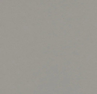 Forbo Marmoleum Solid Walton Sheet Samples - 184495