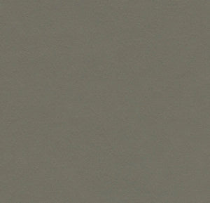Forbo Marmoleum Solid Walton Sheet Samples