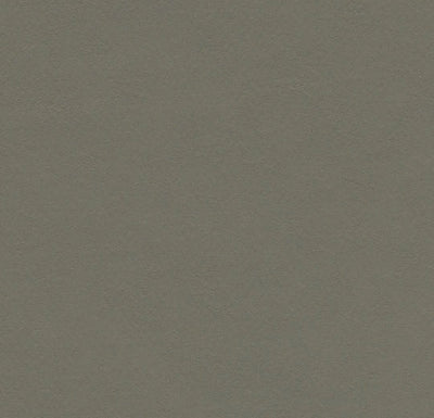 Forbo Marmoleum Solid Walton Sheet Samples - 248198
