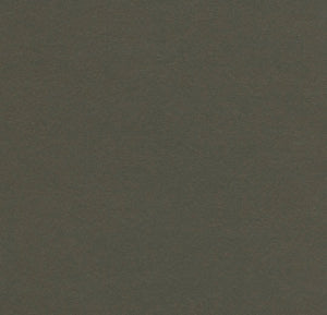 Forbo Marmoleum Solid Walton Sheet Samples