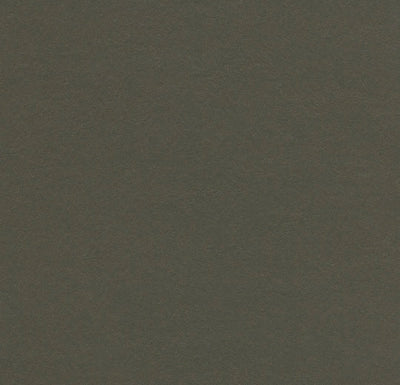 Forbo Marmoleum Solid Walton Sheet Samples - 248199
