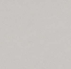 Forbo Marmoleum Solid Walton Sheet Samples