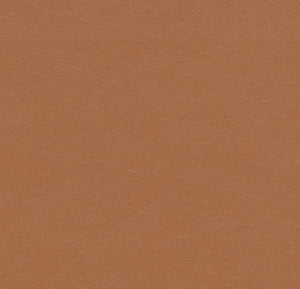Forbo Marmoleum Solid Walton Sheet Samples