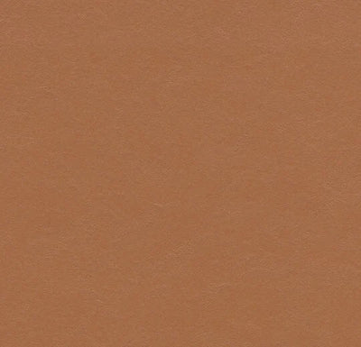 Forbo Marmoleum Solid Walton Sheet Samples - 184639