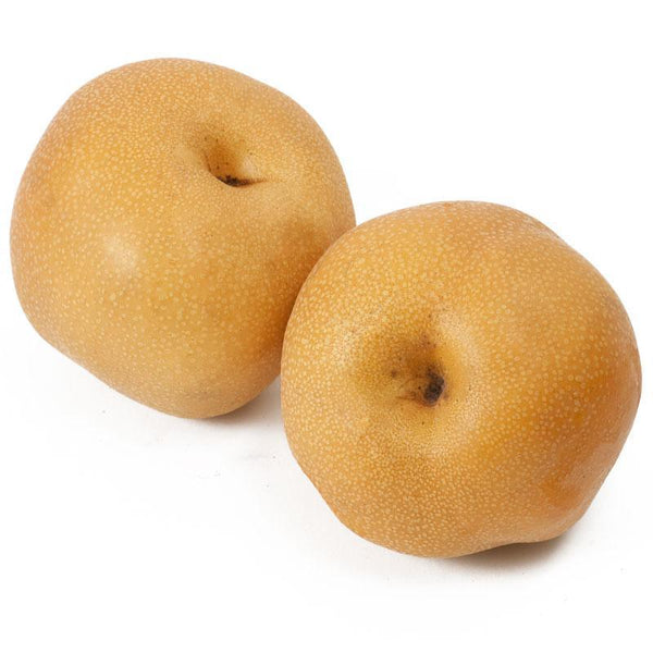Hosui Asian Pear Tree
