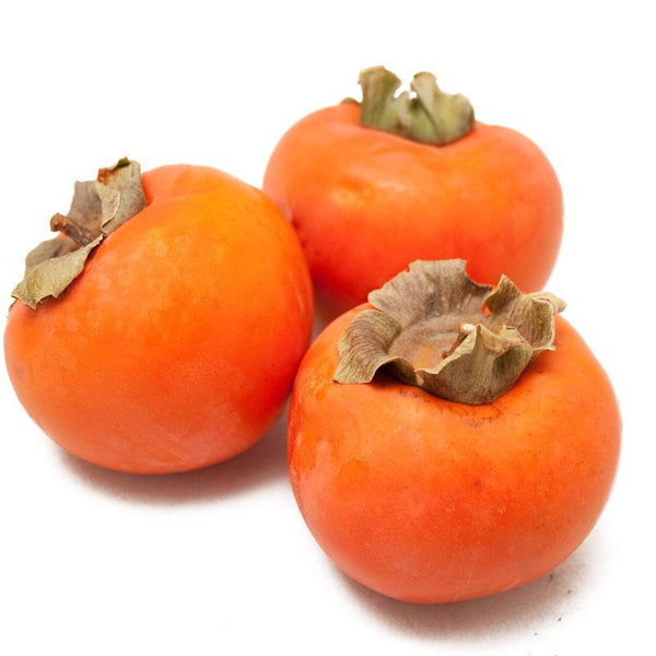 Jiro’, Fuyu Persimmon, Tree