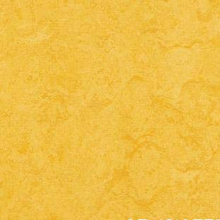 forbo marmoleum real