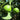 Mexican Key Lime (Potted)