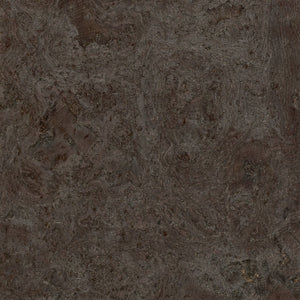 Cleopatra Negra Samples