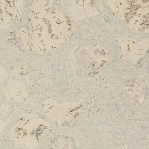 Cleopatra Negra Samples