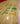 Vermont Natural Coatings Gym Floor High-Gloss Finish