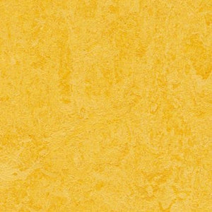 Marmoleum Click Cinch Loc