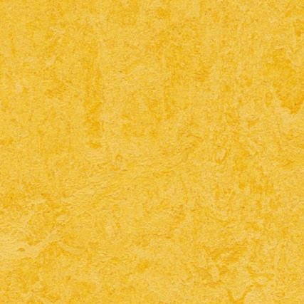 Marmoleum Click Cinch Loc