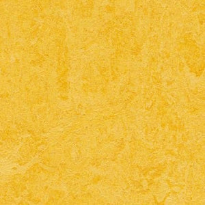 Marmoleum Click Cinch Loc