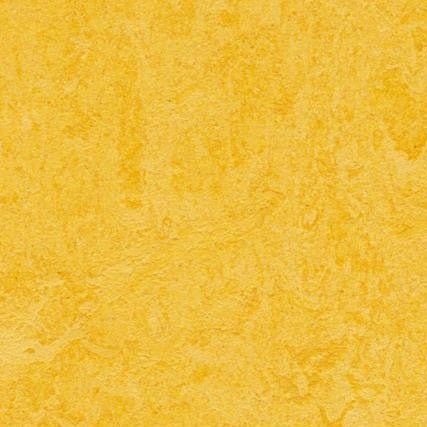 Marmoleum Click Cinch Loc