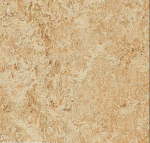 Forbo Marmoleum MCT 13"x 13"Tile Samples
