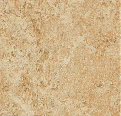 MCT Tile sample, 3075 Shell