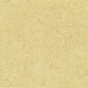 Forbo Marmoleum MCT 13"x 13"Tile Samples