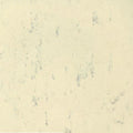 Forbo Marmoleum MCT 13"x 13"Tile Samples