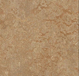 Forbo Marmoleum MCT 13"x 13"Tile Samples