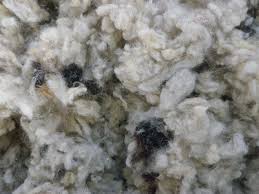 Oregon Shepherd Sheep Wool Insulation