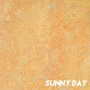 sunny_day